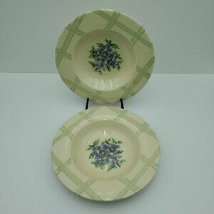 Pfaltzgraff Garden Party Rim Soup Bowls Garden Impressions Rimmed Pasta Bowls